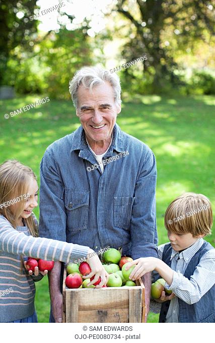 Grandfather and grandchildren with bushel of apples in orchard