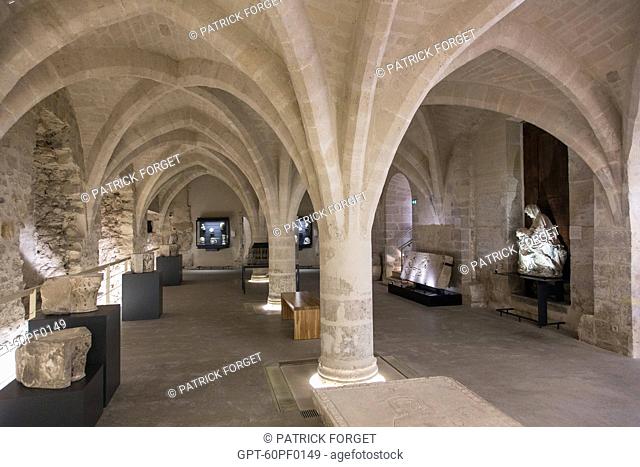 14TH CENTURY CELLAR WITH VAULTED CEILING IN THE CITY MUSEUM OF ART AND ARCHAEOLOGY IN THE FORMER BISHOP‚ÄôS PALACE, SENLIS, OISE (60), FRANCE