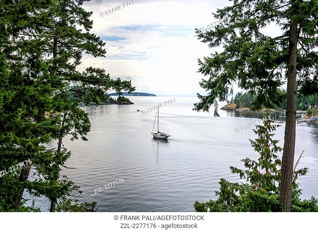 Saliboat leaving Francis Bay in Pender Harbour.British Columbia