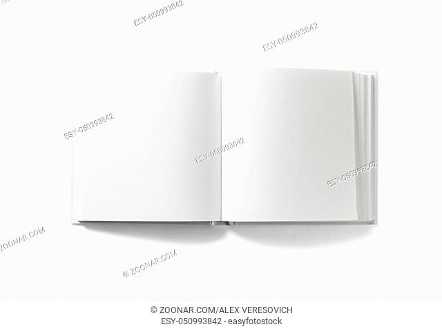 Open blank book on white background. Isolated with clipping path. Flat lay