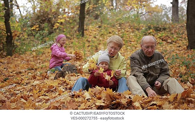 Family of four enjoying golden leaves in autumn