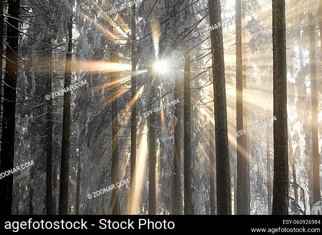 The holy light reaches the earth on a frosty day