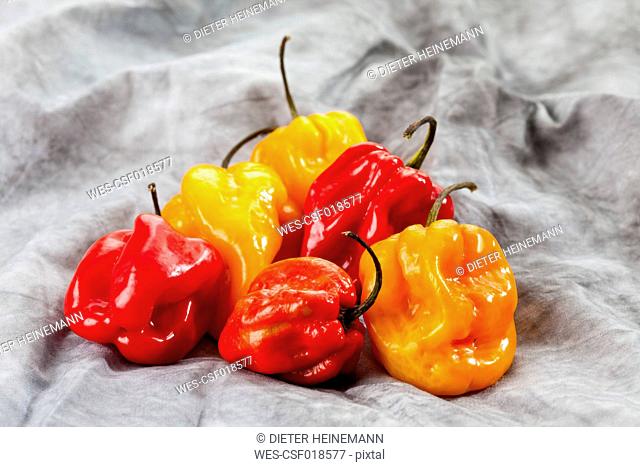 Red and yellow habaneros peppers on textile