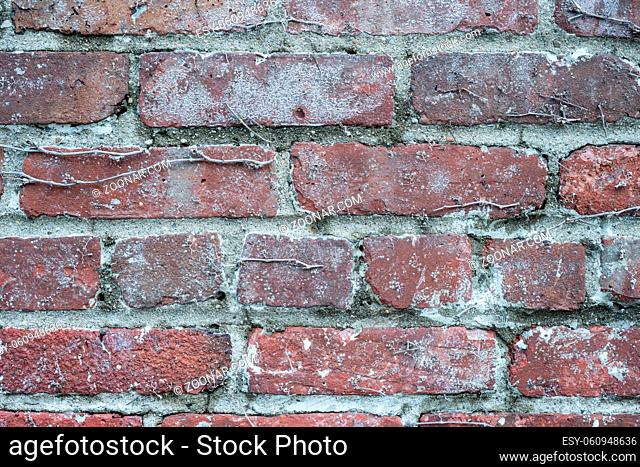 Rough red brick wall background texture