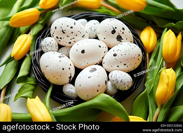 Beautiful yellow tulips with dotted quail and chicken eggs in nest on white wooden background. Spring and Easter holiday concept with copy space