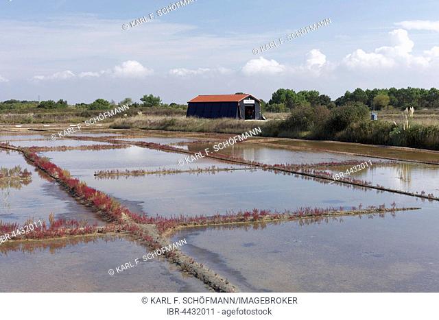Salt marshes, Port des Salines, open air museum, Ile d'Oleron, Charente-Maritime, France