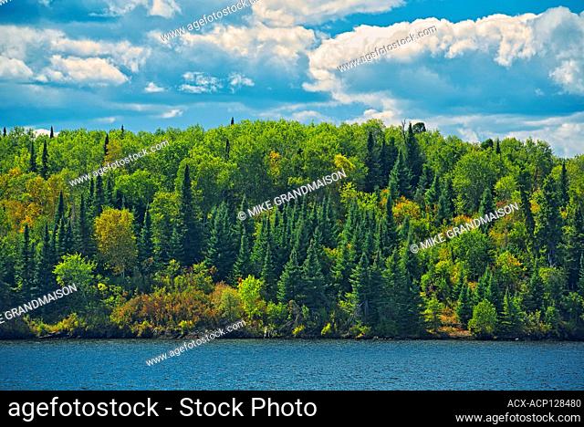 Shoreline of Lake of The Woods Kenora District Ontario Canada