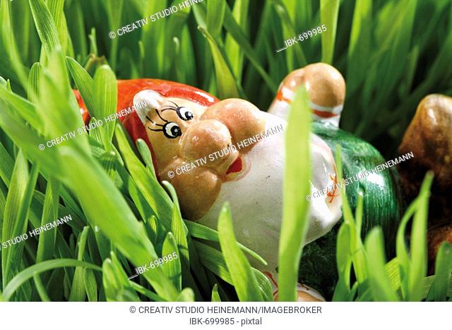 Garden gnome in the grass