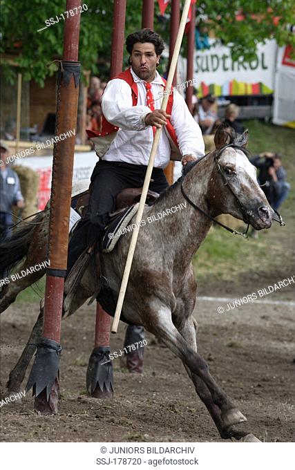 Horse and rider galloping through posts at the Oskar-von-Wolkenstein Riding Tournament. Castle Proesels, South Tyrol, Italy