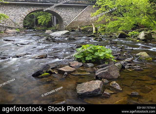 Divoka Orlice river in Zemska brana nature reserve, Orlicke mountains, Eastern Bohemia, Czech Republic