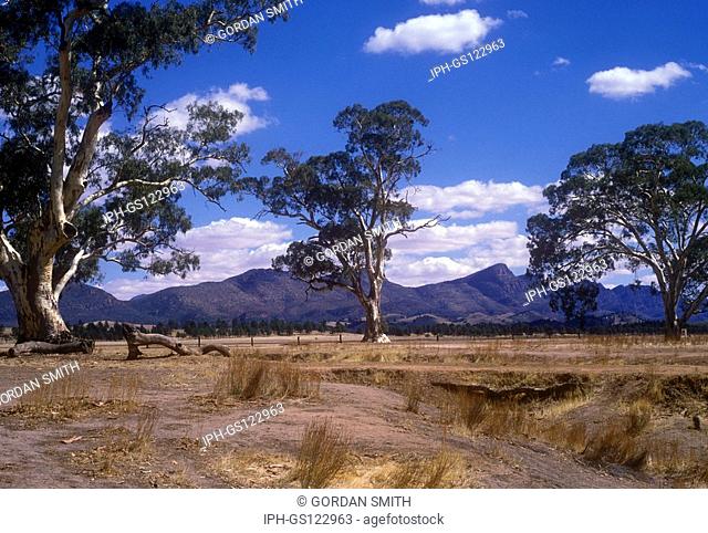 Scenery near Wilpena Pound in the Flinders Ranges National Park