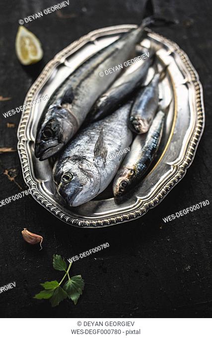 Raw fish, sea bream, sea bass, mackerel and sardines