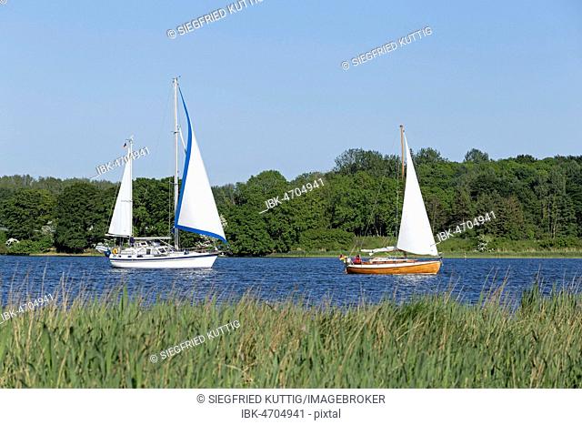 Sailing boats on the Schlei, near Lindaunis, Schleswig-Holstein, Germany