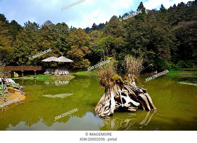 Asia, China, Taiwan, Chiayi, Alishan National Scenic Area, Sisters Pond
