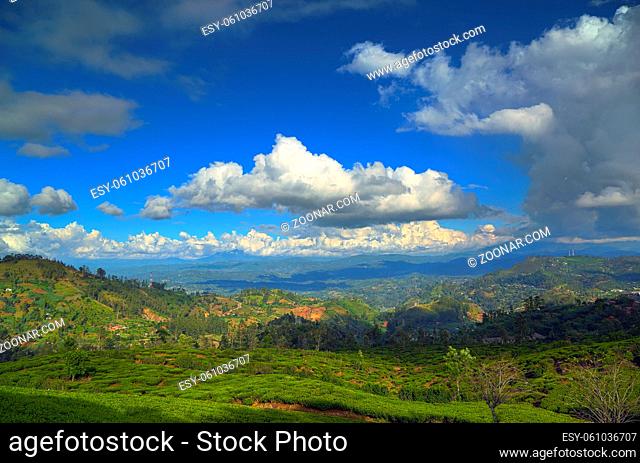 Beautiful mountain landscape with tea plantation in Sri Lanka