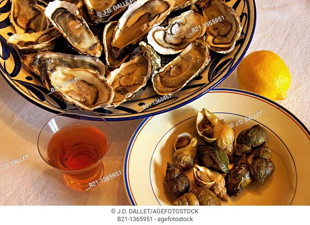 Oysters and 'bulots' shellfish, Gironde, Aquitaine, France