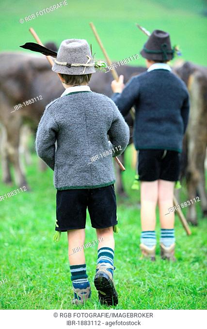 Boys wearing traditional costume during Viehscheid, separating the cattle after their return from the Alps, Thalkirchdorf, Oberstaufen, Bavaria, Germany, Europe
