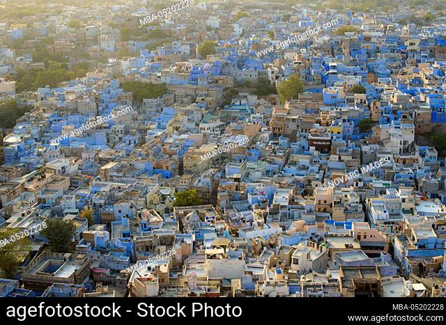 The blue city, Jodhpur, Rajasthan, India