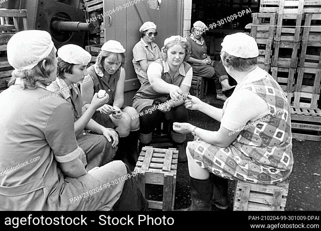 15 September 1982, Saxony, Kyhna: Women's break - The fruits harvested in the orchards such as apples and pears are processed to fruit juices in the fruit juice...