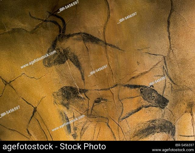 Replica of prehistoric rock paintings of the Chauvet Cave, Chauvet-Pont-d'Arc Cave, Ardèche, France, showing extinct animals cave lion and aurochs (Bos...