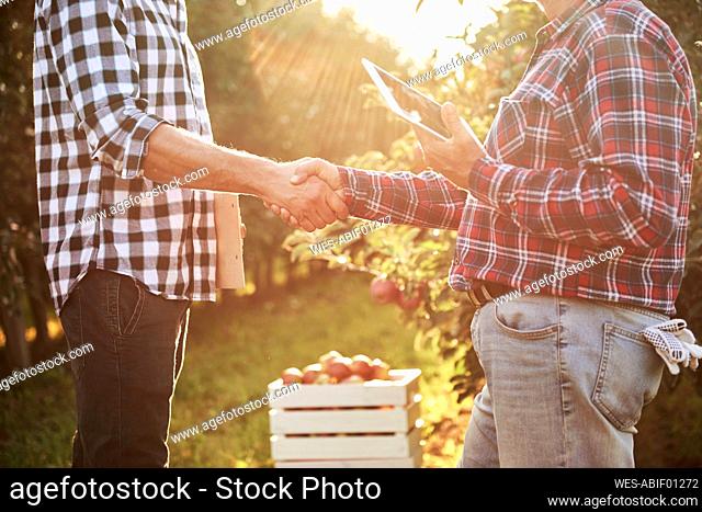 Fruit growers agreeing on a deal, shaking hands