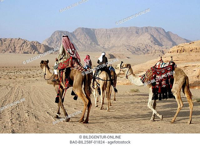 The desert scenery the desert wadi rum in the south of Jordan in Arabia