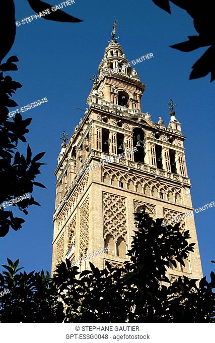 GIRALDA, MOORISH TOWER OF THE OLD 12TH CENTURY GREAT MOSQUE, SSEVILLE, ANDALUSIA, SPAIN
