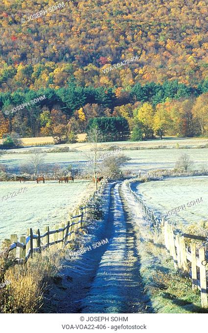 A dirt road with morning autumn frost in Tyringham, Massachusetts