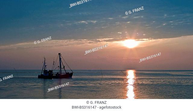 shrimp trawler on North Sea at sunset, Germany, Lower Saxony, Dorum-Neufeld