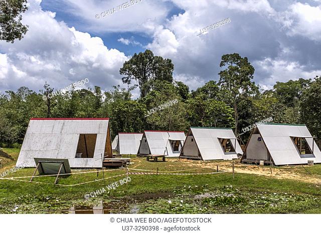 Sumiran Eco-Camp a multicultural rainforest mix eco-farm camp for all ages. Located in the Kuching City Batu Kawa Rantau Panjang, Sarawak, Malaysia