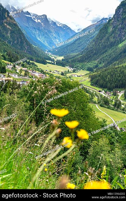 Europe, Austria, Tyrol, Ötztal Alps, Pitztal, St. Leonhard im Pitztal, view over a blooming mountain meadow to the picturesque Pitztal