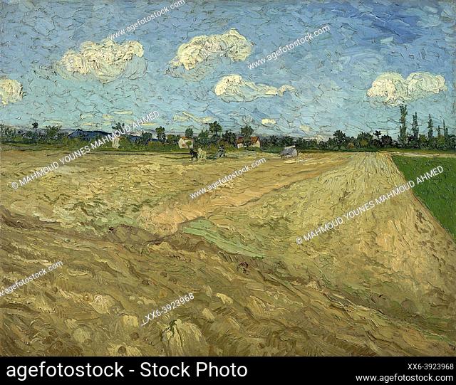 Vincent van Gogh, Ploughed Fields (The Furrows) 1888 Oil on canvas. Van Gogh Museum, Amsterdam, Netherlands.