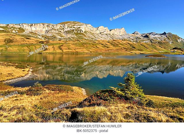 Mountain peak Tannenstock, Rotsandnollen, Barglen reflecting in Lake Tannensee, Melchsee-Frutt, Canton Obwalden, Switzerland, Europe