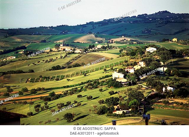 Agricultural landscape near Macerata, Marche, Italy