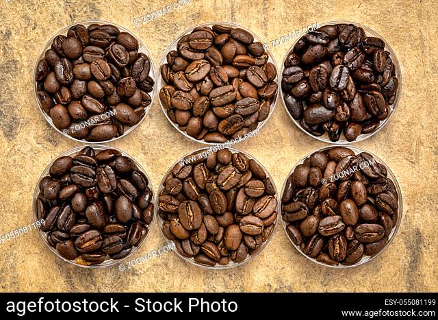 sampler of coffee beans from different parts of the world - overhead view of round bowls against handmade textured paper