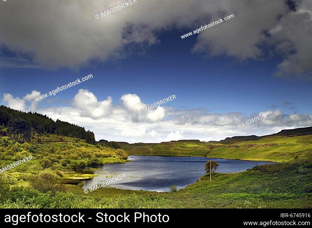 Lake, Landscape, Loch Tor, Mull, Inner Hebrides, Hebrides, Highlands, Highland, Scotland, Great Britain