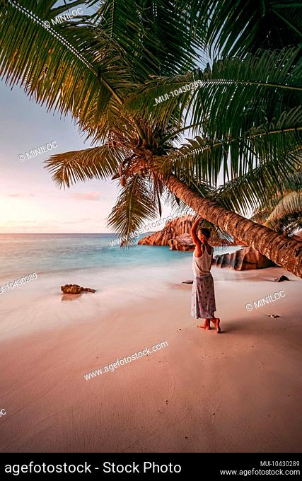 A woman lean against coconut palm tree in a gold sunset on a tropical sandy beach. La Digue, Seychelles