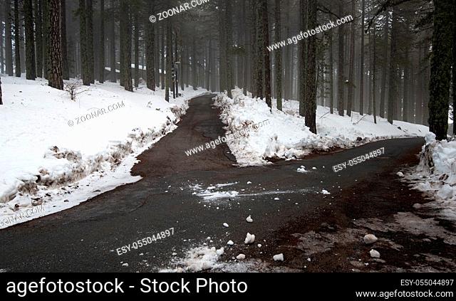 Winter forest landscape with mountain covered in snow and empty frozen road. Troodos mountains in Cyprus