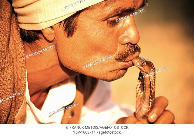 A snake charmer is kissing a cobra at Delhi  India