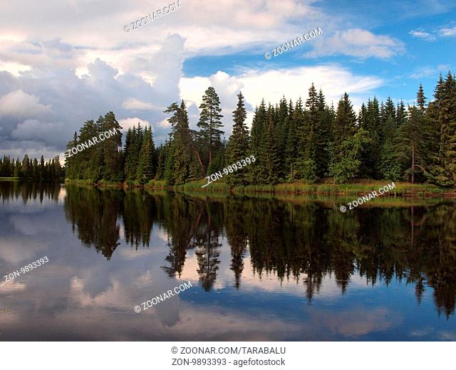 Wasserreiches Waldgebiet in Värmland in Mittelschweden. Genauer Standort: Lissgranstrand am Västerdalälven bei Äppelbo, Malung, Vansbro, Hagfors