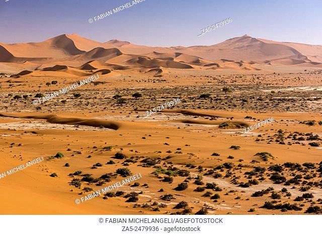 Red sand dunes in the Sossusvlei valley. Namib Naukluft National Park. Namib Desert, Namibia