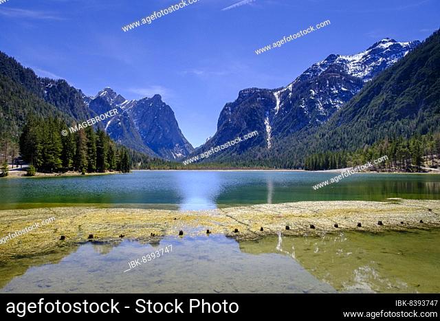 Dobbiaco Lake, Dobbiaco, Three Peaks nature Park, UNESCO World Heritage Site, Sesto Dolomites, Dolomites, Pustertal, South Tyrol, Italy, Europe