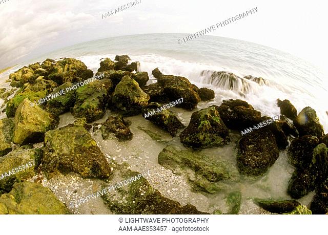Tidepools w/ Waves Crashing, Casperson Beach, Venice, FL