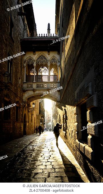 Spain, Catalonia, Barcelona, Barri Gotic (Barrio Gotico, Gothic Quarter), Carrer del Bisbe (Bishop's street), neo-Gothic bridge Pont del Bisbe (Bishop's bridge)
