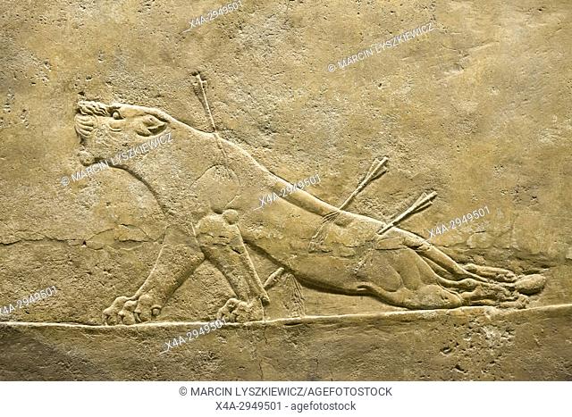 Lion Hunting - Dying Lioness, Assyrian Alabaster Bas-Relief, Circa 645-635 BCE, British Museum, London