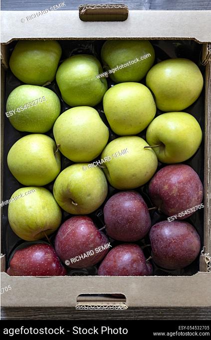 different kinds of green and red apples