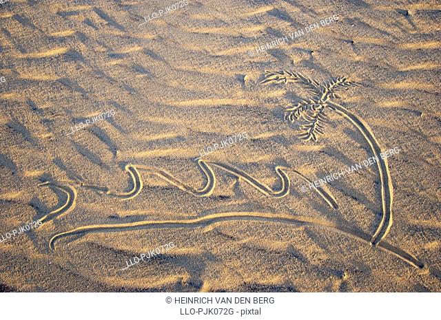 Pattern drawn into the beach sand. St Lucia, KwaZulu-Natal Province, South Africa