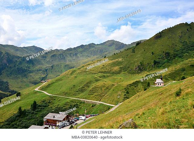 Austria, Tyrol, Zillertal, Höhenstrasse, mountain region, vegetation, alp inn