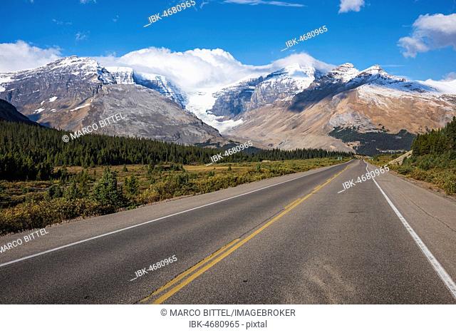 View from Icefields Parkway, Highway 93, Dome Glacier, Columbia Icefield, Mount Kitchener, Jasper National Park, Rocky Mountains, Alberta, Canada