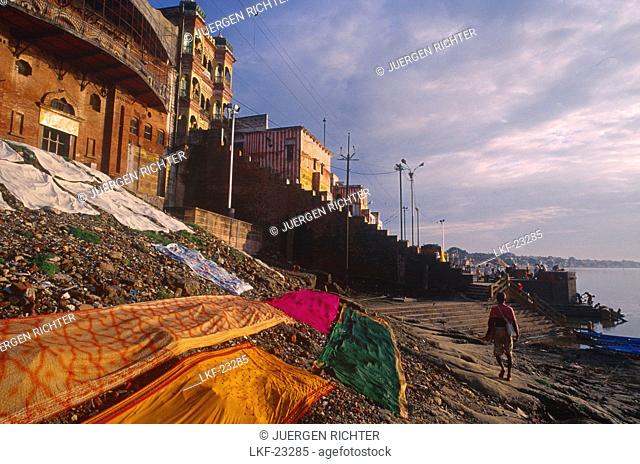 Drying saris at Ganges riverside, Varanasi, Benares, Uttar Pradesh, India, Asia